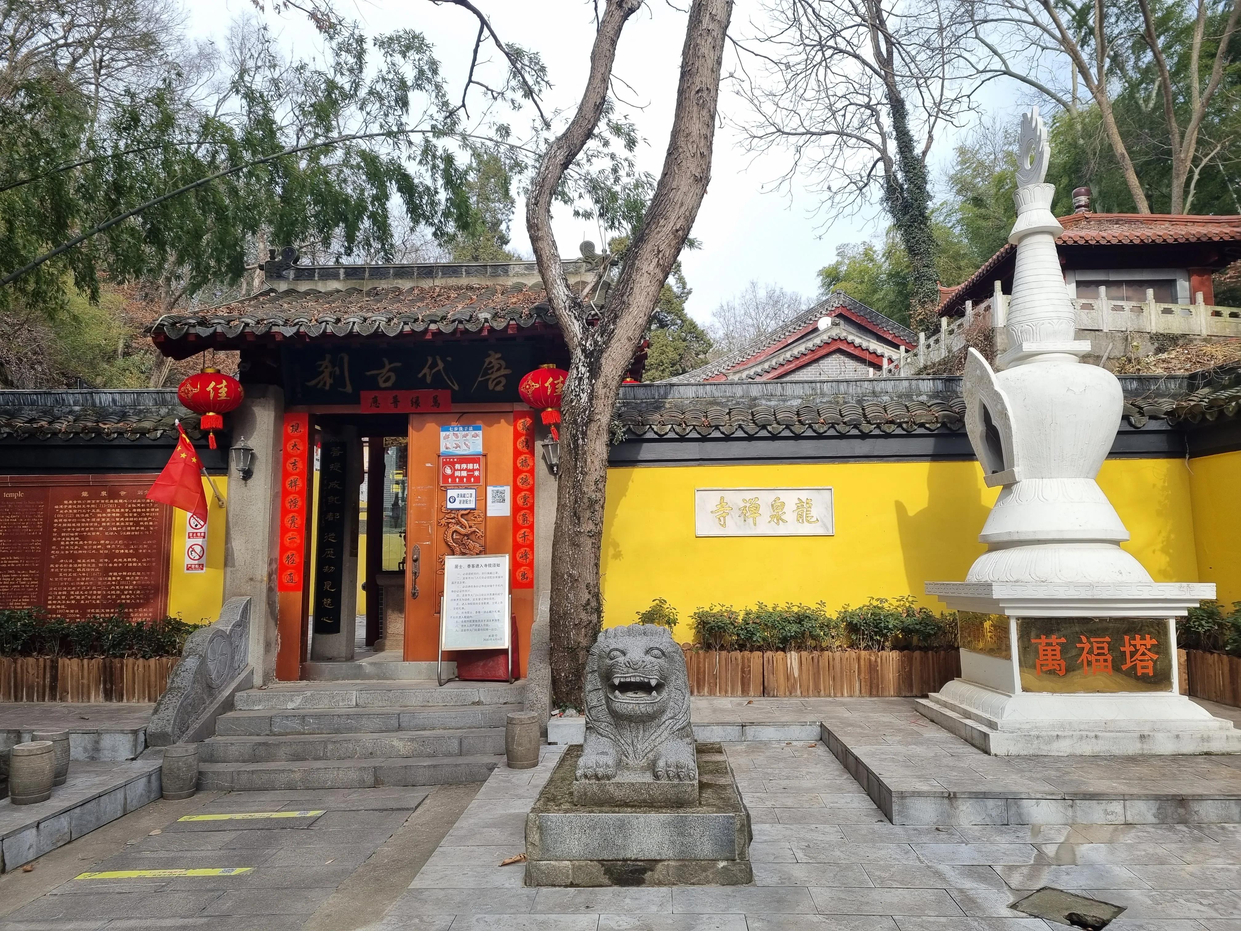 南京龙泉寺。寺里有一棵唐朝的腊梅树。