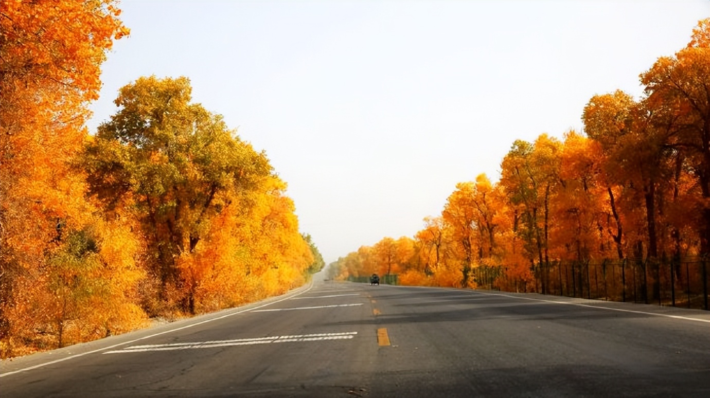 环游新疆15天,环游南疆8天攻略