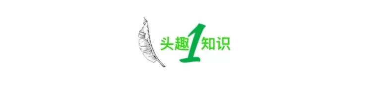 “女子想白嫖二手的LV围巾”冲上热搜,撕开当下社会多少人的贪婪