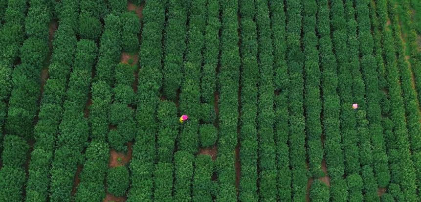 苏州西山太湖精品民宿,苏州太湖最强民宿推荐
