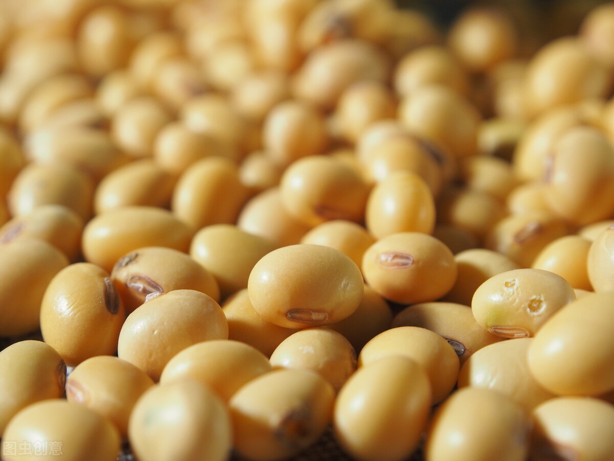 怎样用内酯做豆腐脑最简单,豆腐脑的家常做法不用内酯用白醋