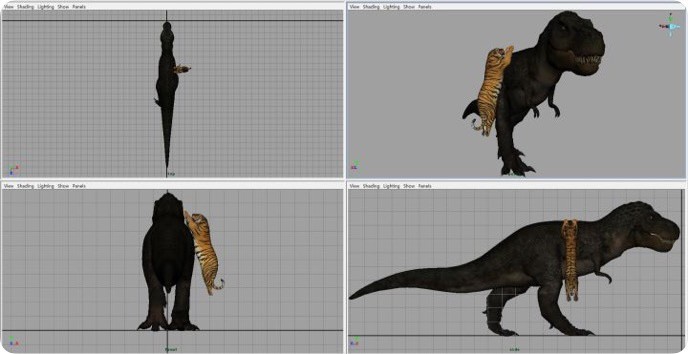 老虎和棕熊同等体重谁厉害,同等体型体重的老虎和狮子谁厉害