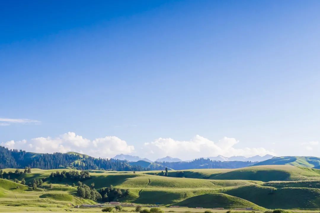 这个姿势躺3分钟瘦肚子,什么动作使全身气血运行快速