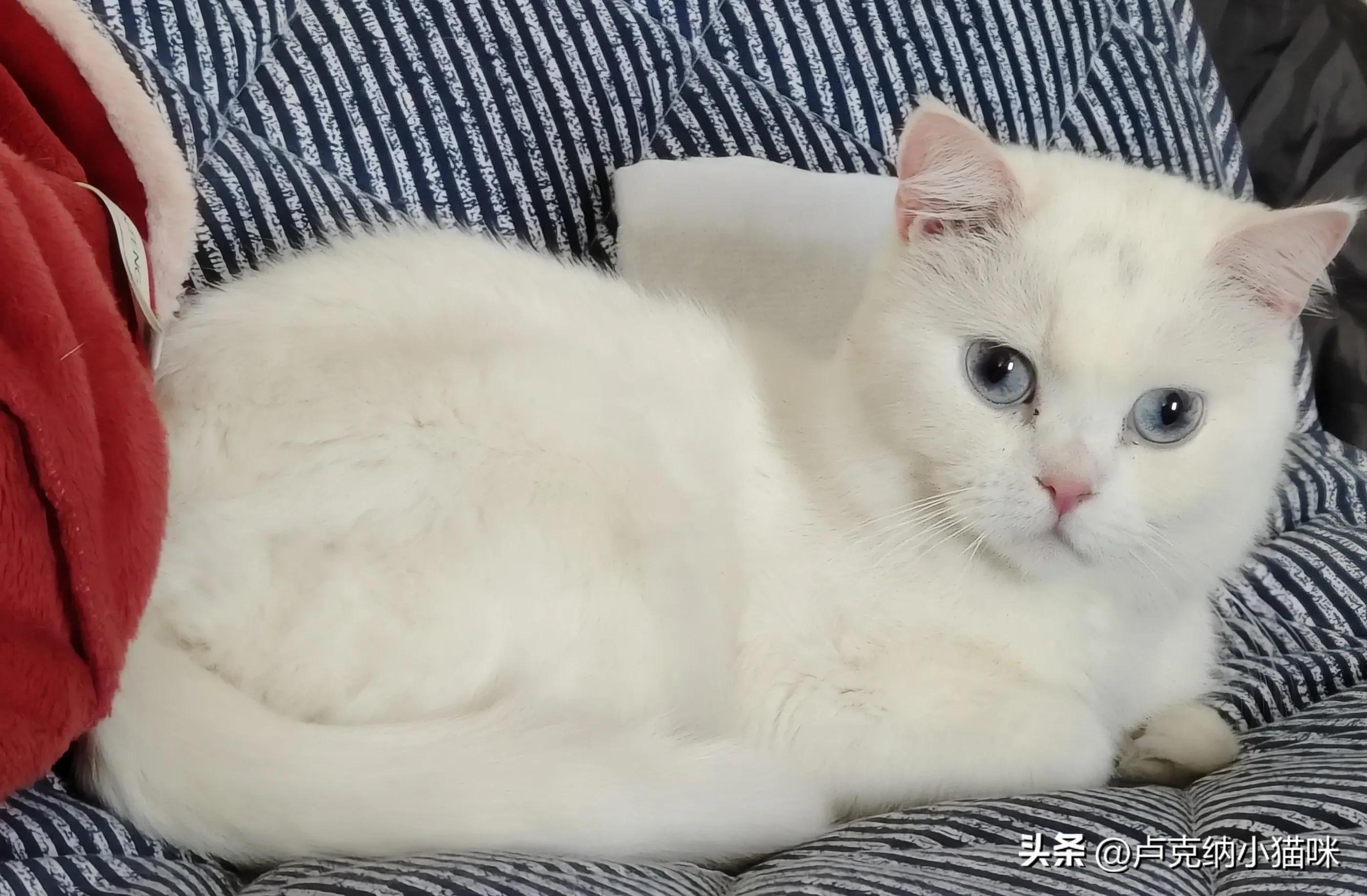 髌骨骨折术后60天正确康复锻炼,髌骨骨折术后三个月康复锻炼教程