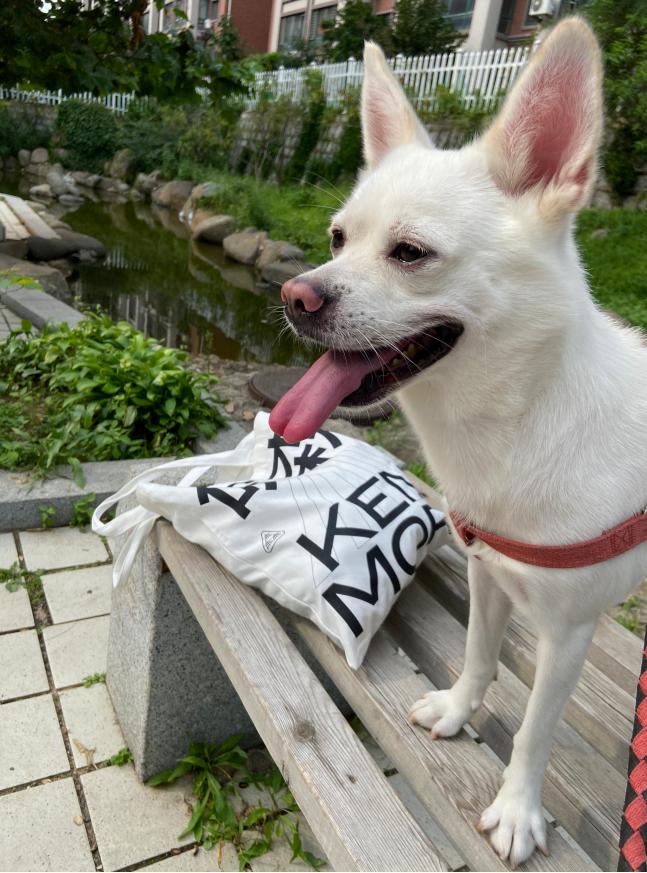 如何正确抄袭,怎样抄袭他人作品