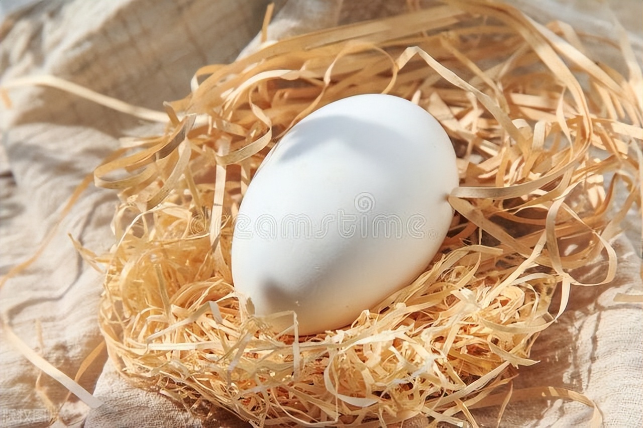 鹅蛋的腌制方法个个流油,鹅蛋怎么腌鹅蛋黄可以流油