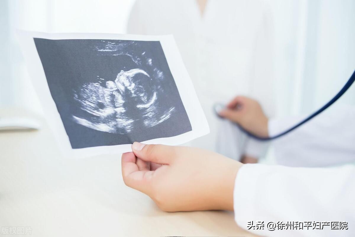 胎儿发育过程性别决定,胎儿性别形成变化过程