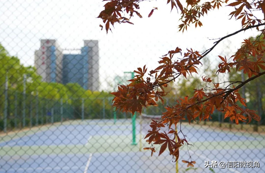 信阳羊山新区东湖风景区,信阳云赏直播间