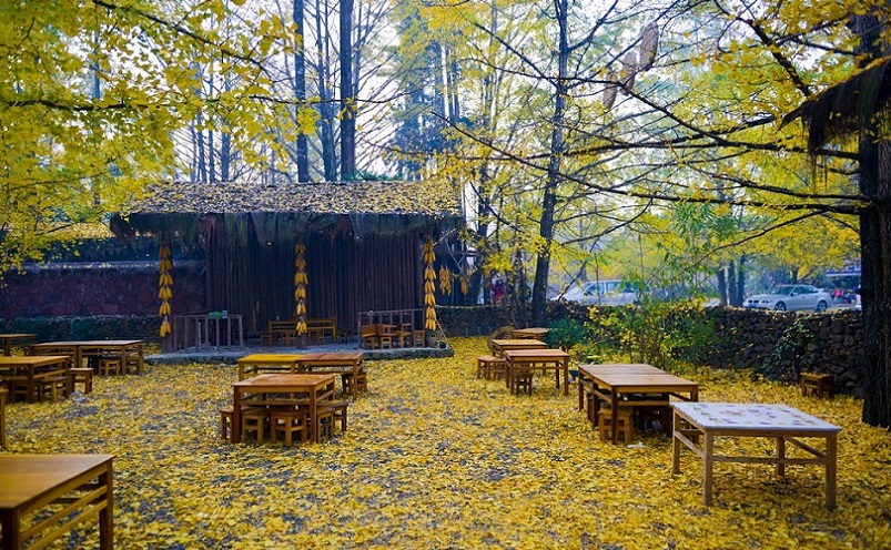 云南建水旅游十大必去景点,云南丽江十大旅游景点