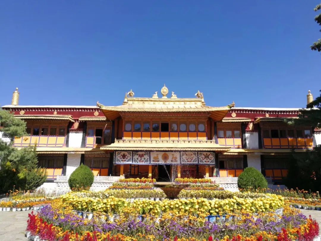 西藏拉萨旅游攻略美食攻略,去西藏打卡攻略