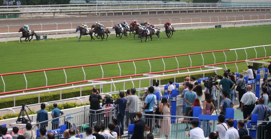 5000万的豪华婚礼有哪些细节,5000万婚礼