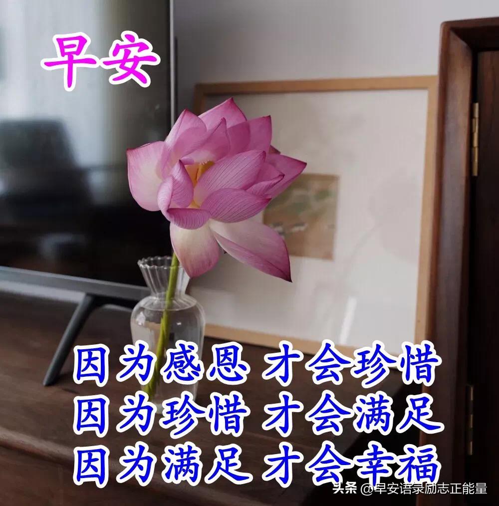 微商早安心语正能量一句话简短,微商早上发圈早安心语简短