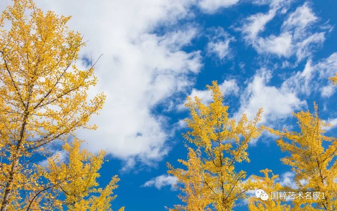 国粹艺术名家刘福生,海丰陈汉洲书法