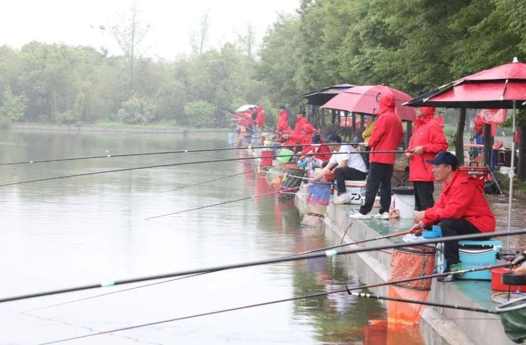 朱巧林夜钓争霸赛视频,第四届和善园杯星钓联赛总决赛