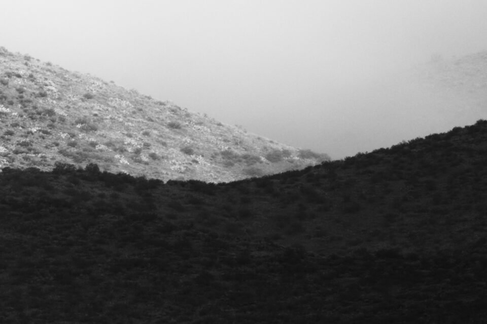 尼康Z800mmf/6.3VRS镜头深度评测