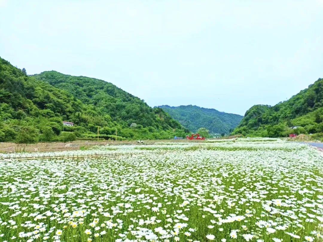 这才是清凉夏天的打开方式,清凉一夏夏天的正确打开方式