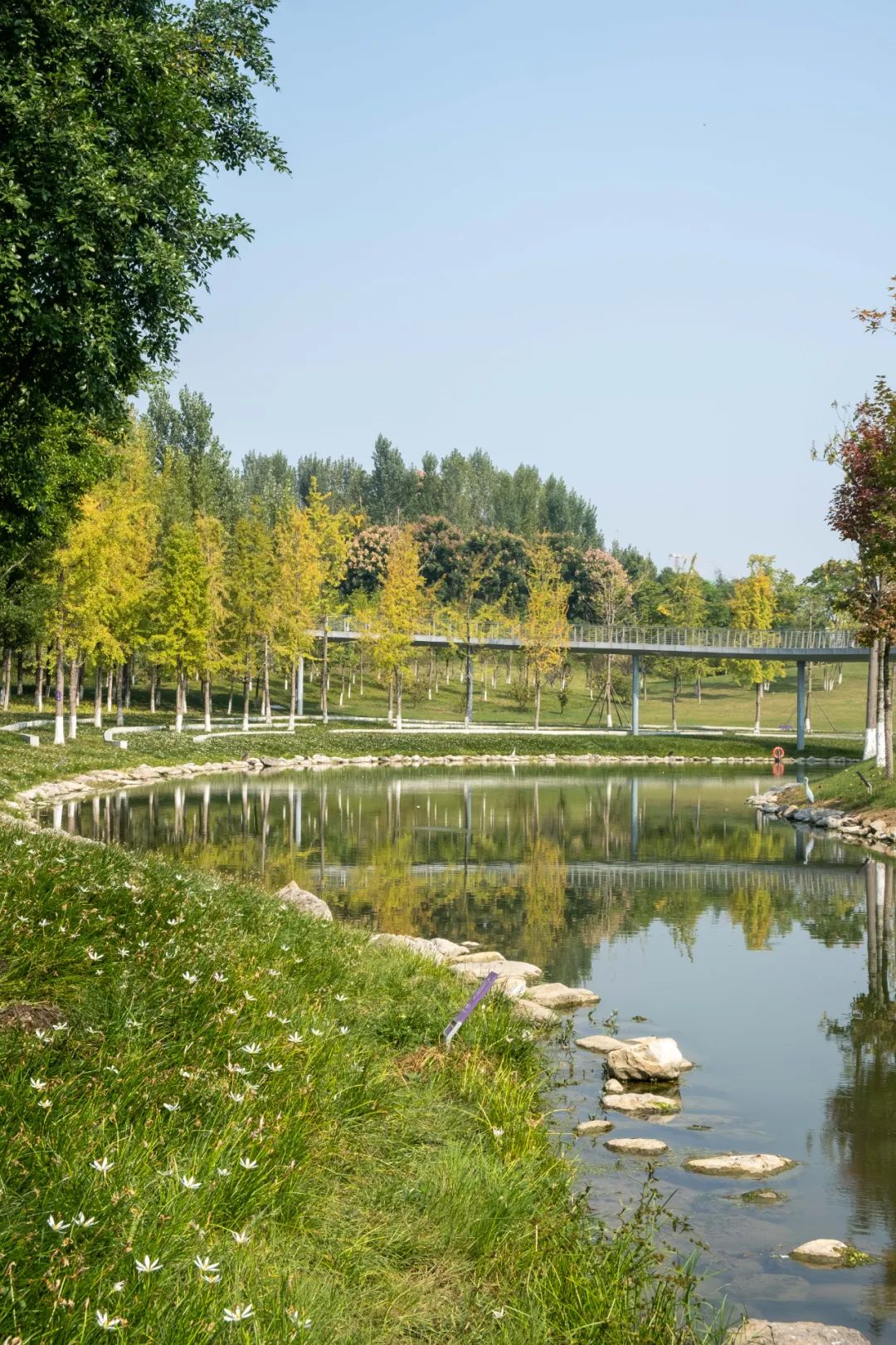 成都有哪些公园值得一去,成都必去的公园排行榜最新名单