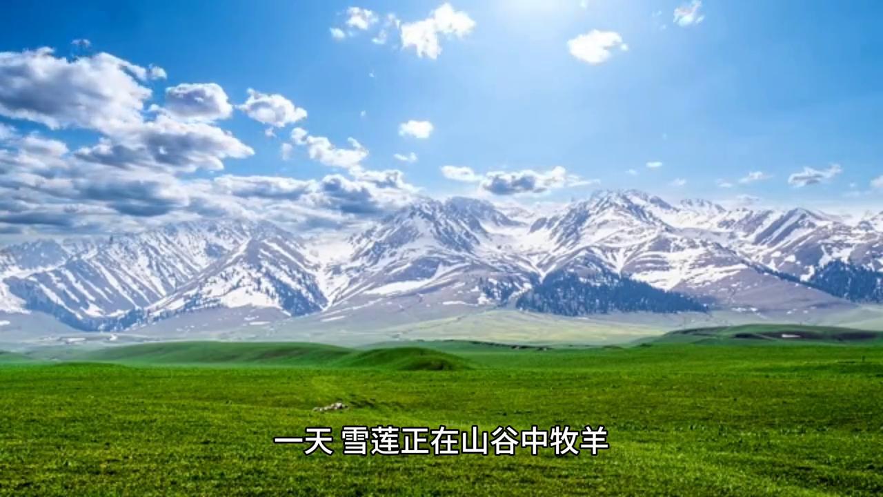 民间故事神秘的森林,民间真实猎人故事