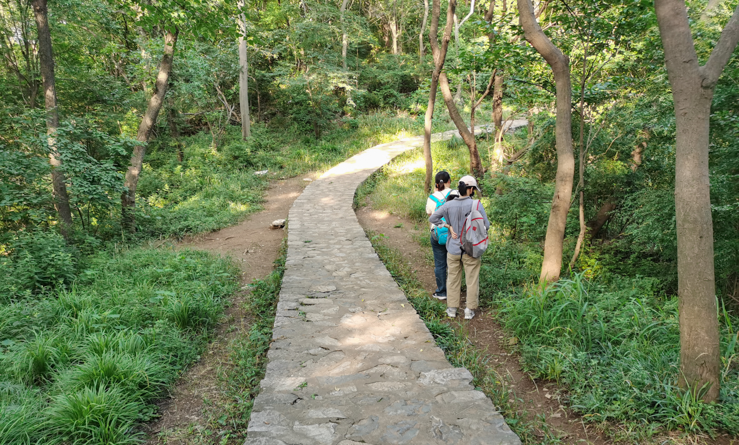 背包小鹰osprey,小鹰魔爪26背包功能详解