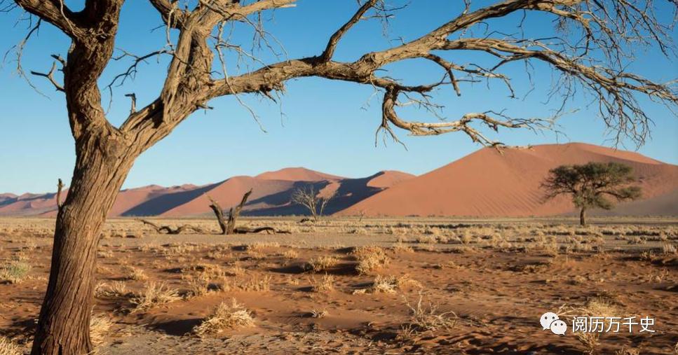 每天了解一个国家坦桑尼亚,每天了解一个国家加纳