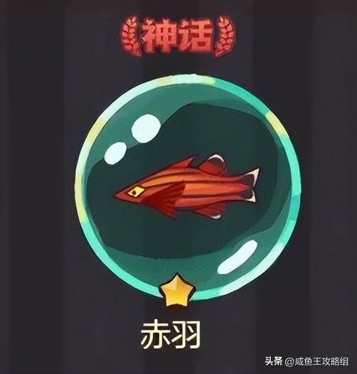 咸鱼之王神秘商店珍珠在哪获得,咸鱼之王珍珠兑换什么最好