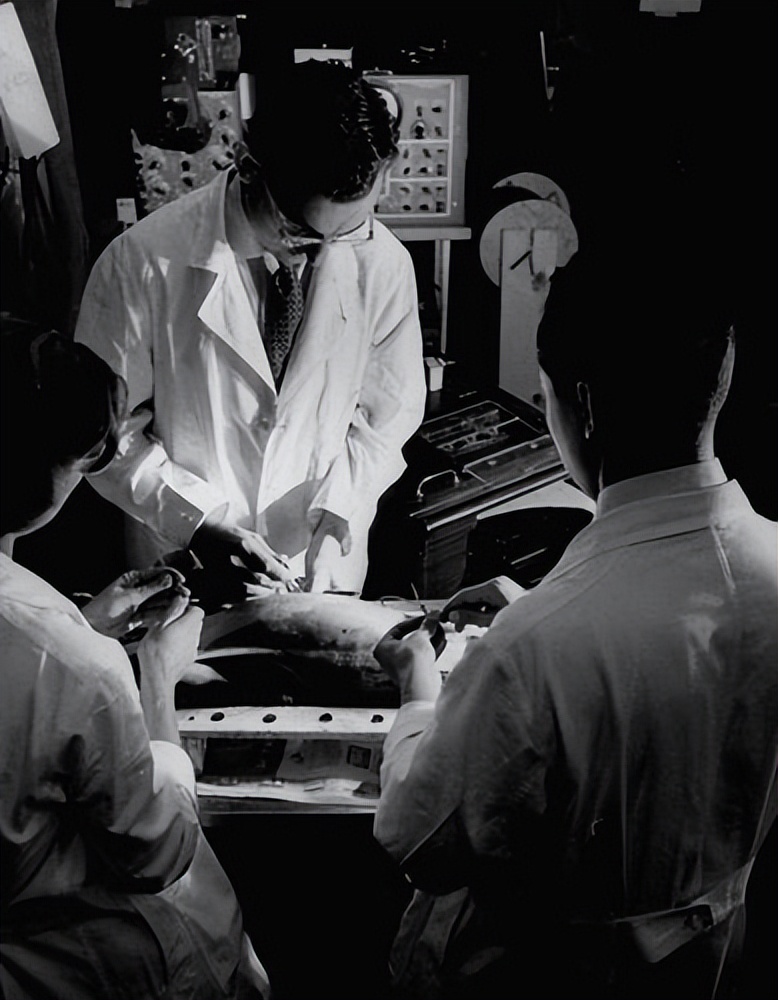 江苏未婚妈妈杨艳，亲手勒死3岁儿子，儿子生前常说：妈妈我爱你