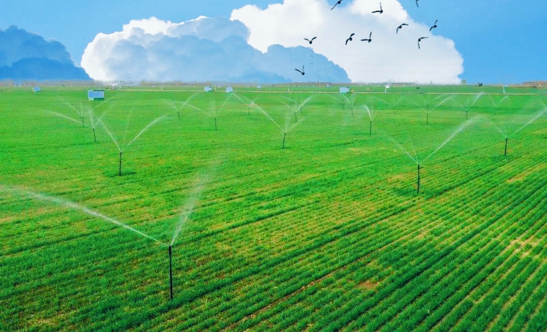 退林还耕农民可以不执行吗,退林还耕政策谁来种地