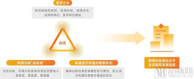 病理检测市场情况,病理报告有用吗