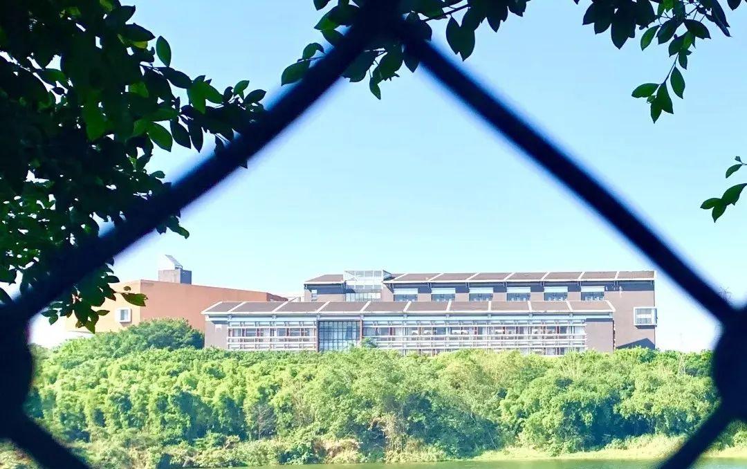 广东双一流专科院校排名,广东大专院校排名及分数线