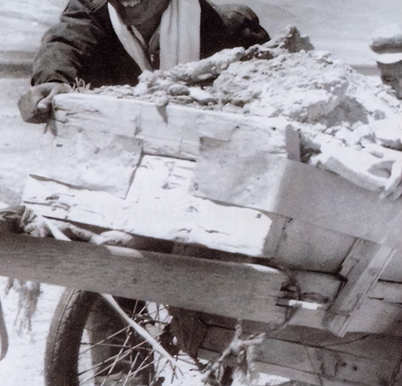 许昌一高毕业生的难忘往事：平舞工程会战当民工