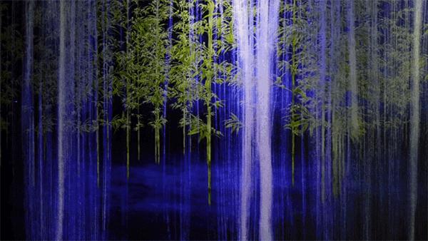 teamlab上海晚宴,上海teamlab无界美术馆晚宴