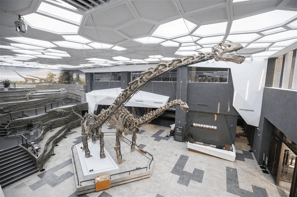 重庆自然资源科普馆有讲解吗,重庆自然资源科普馆一共几个馆