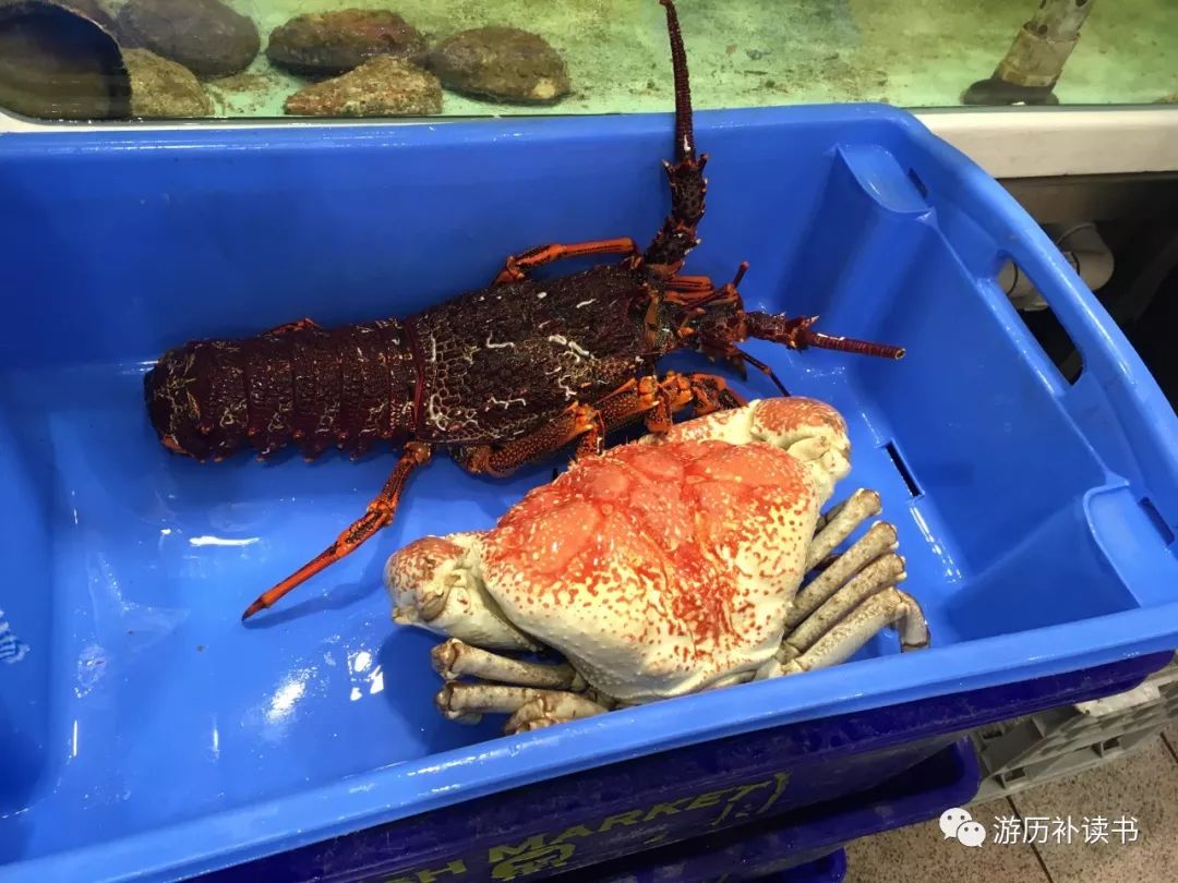 澳大利亚印象(代小结)——澳大利亚行记7