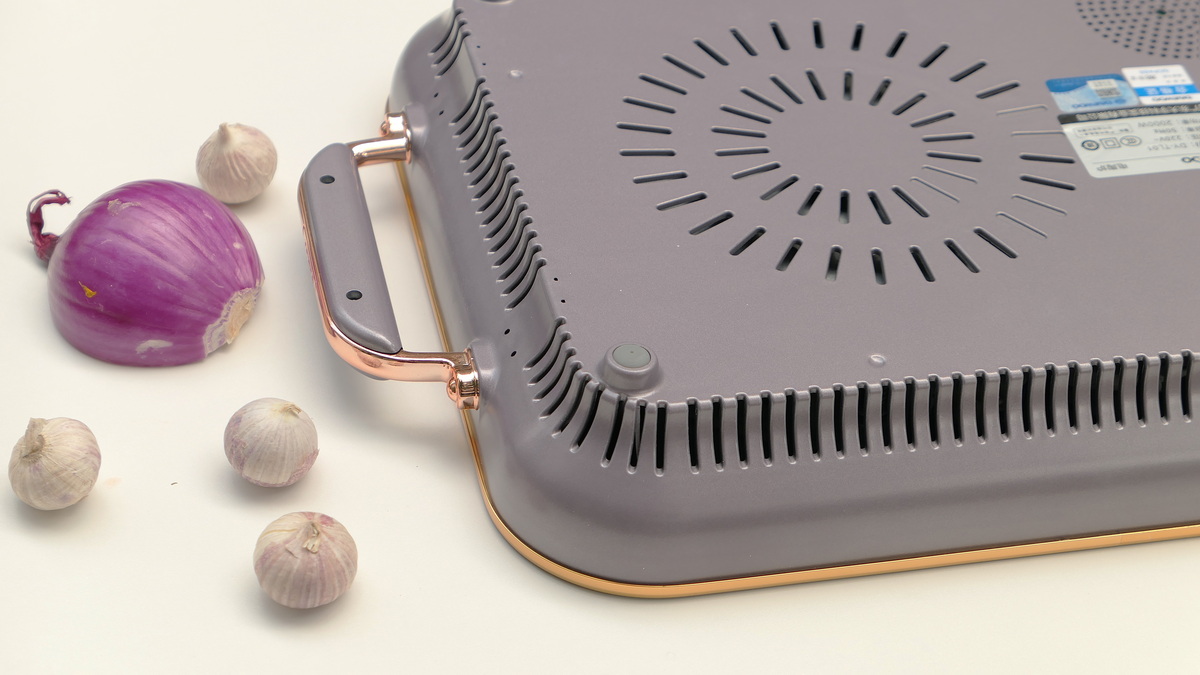 大宇电陶炉炒菜测评,德国电陶炉一锅多用不挑锅