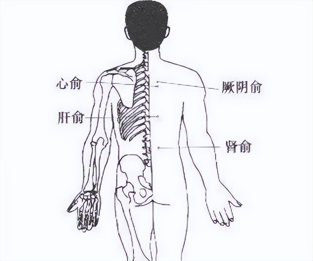 102岁朱南孙国医养生4个秘诀,九十岁老中医朱南孙
