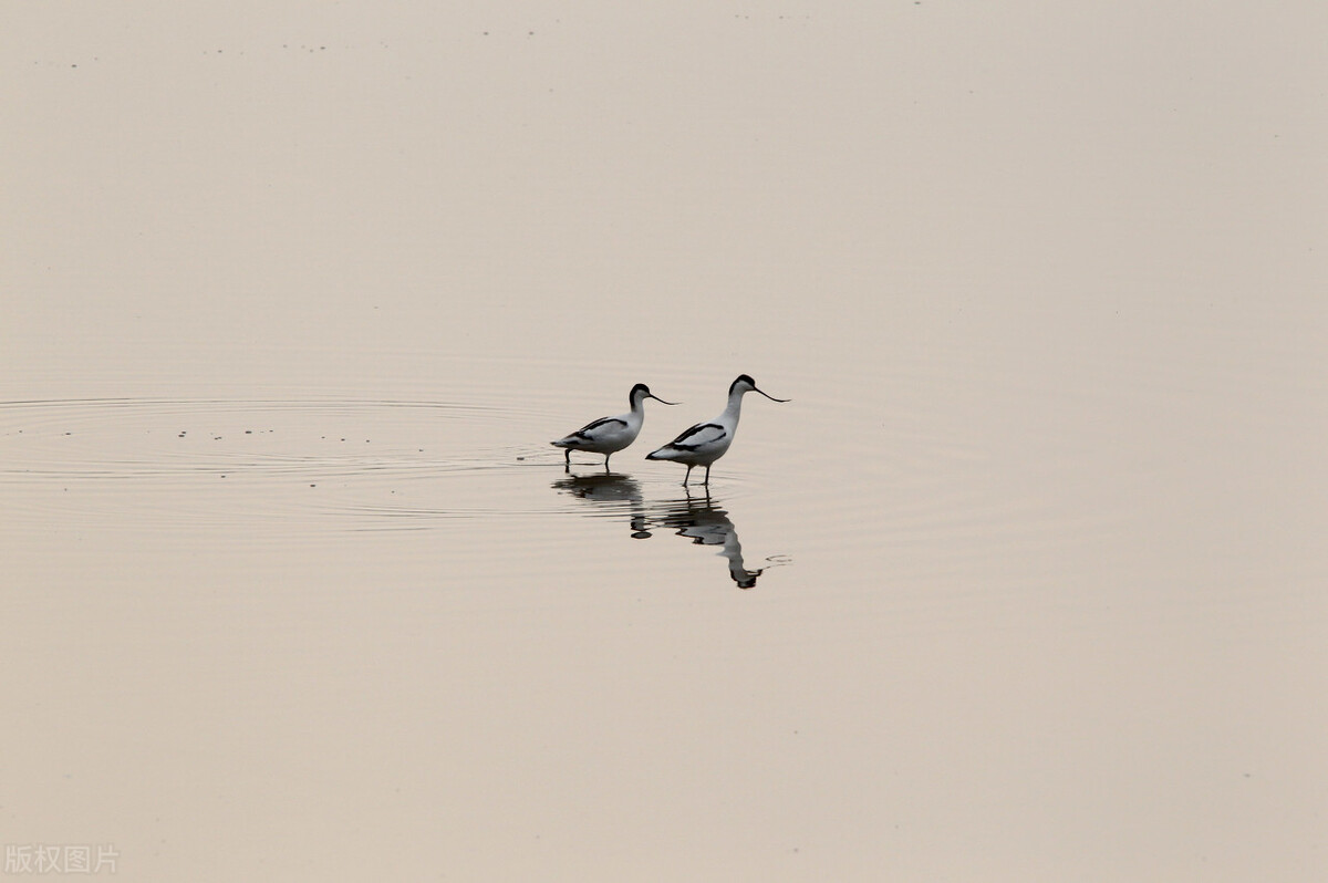 湖南你不知道的小知识,湖南十大冷知识排行
