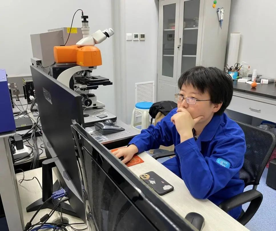 喜报获得金奖,喜报省特等奖