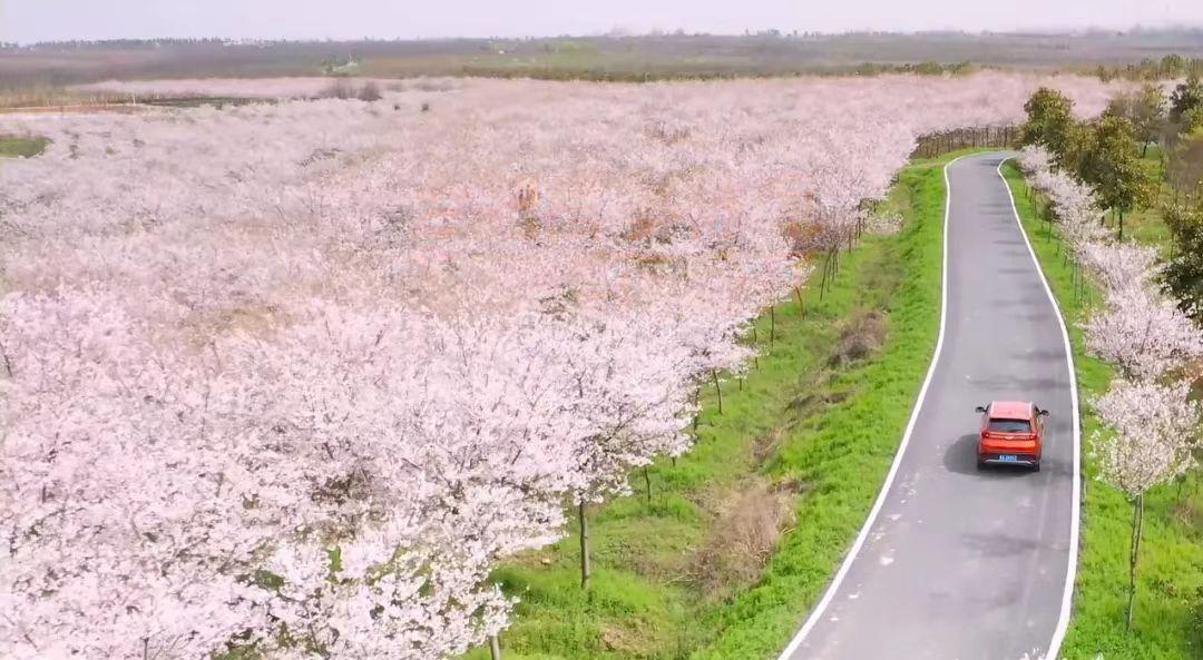 合肥大理旅游线路,合肥15天自驾游路线推荐表