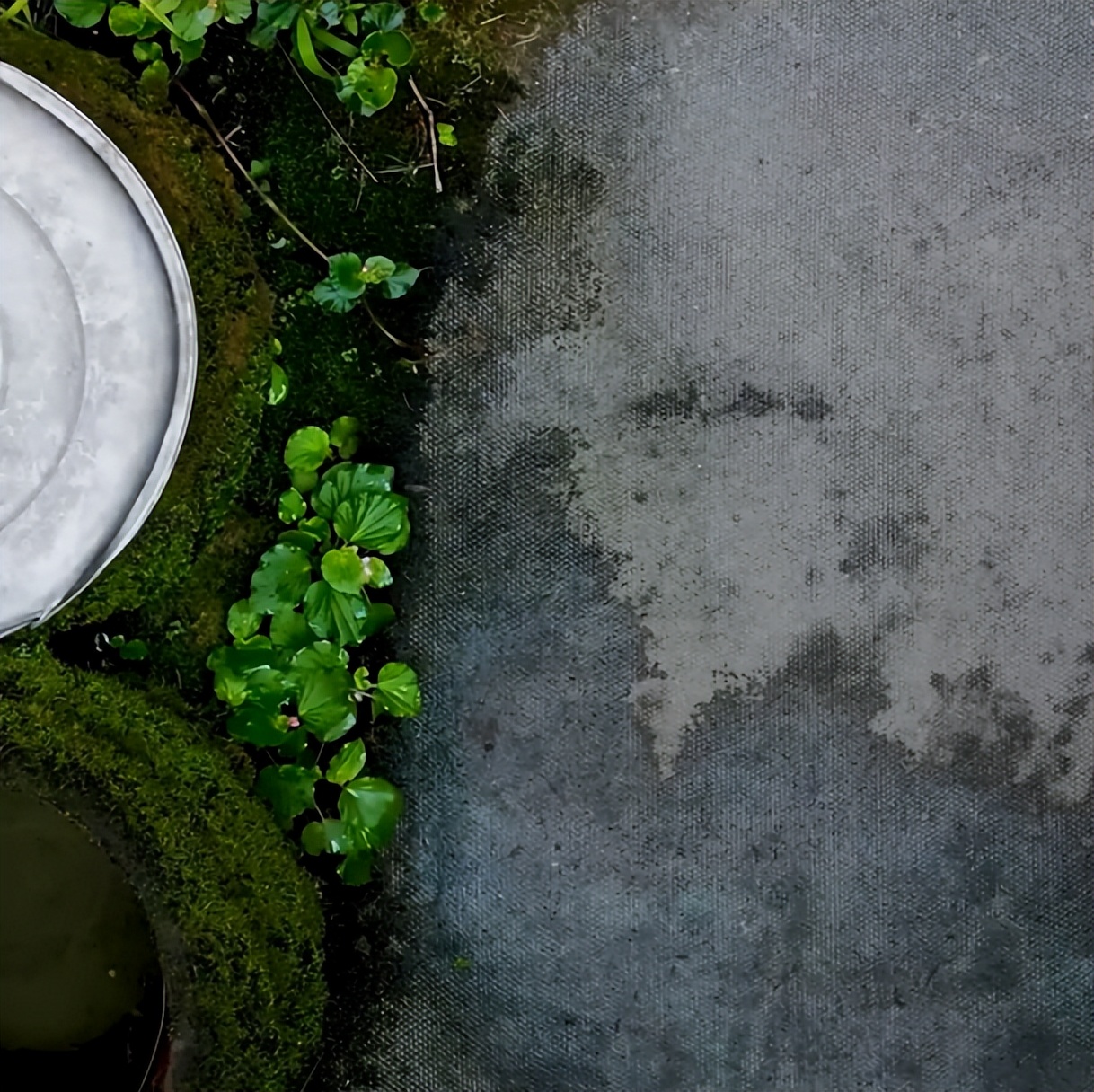 田园风光美丽的农家小院,美丽庭院装点幸福生活