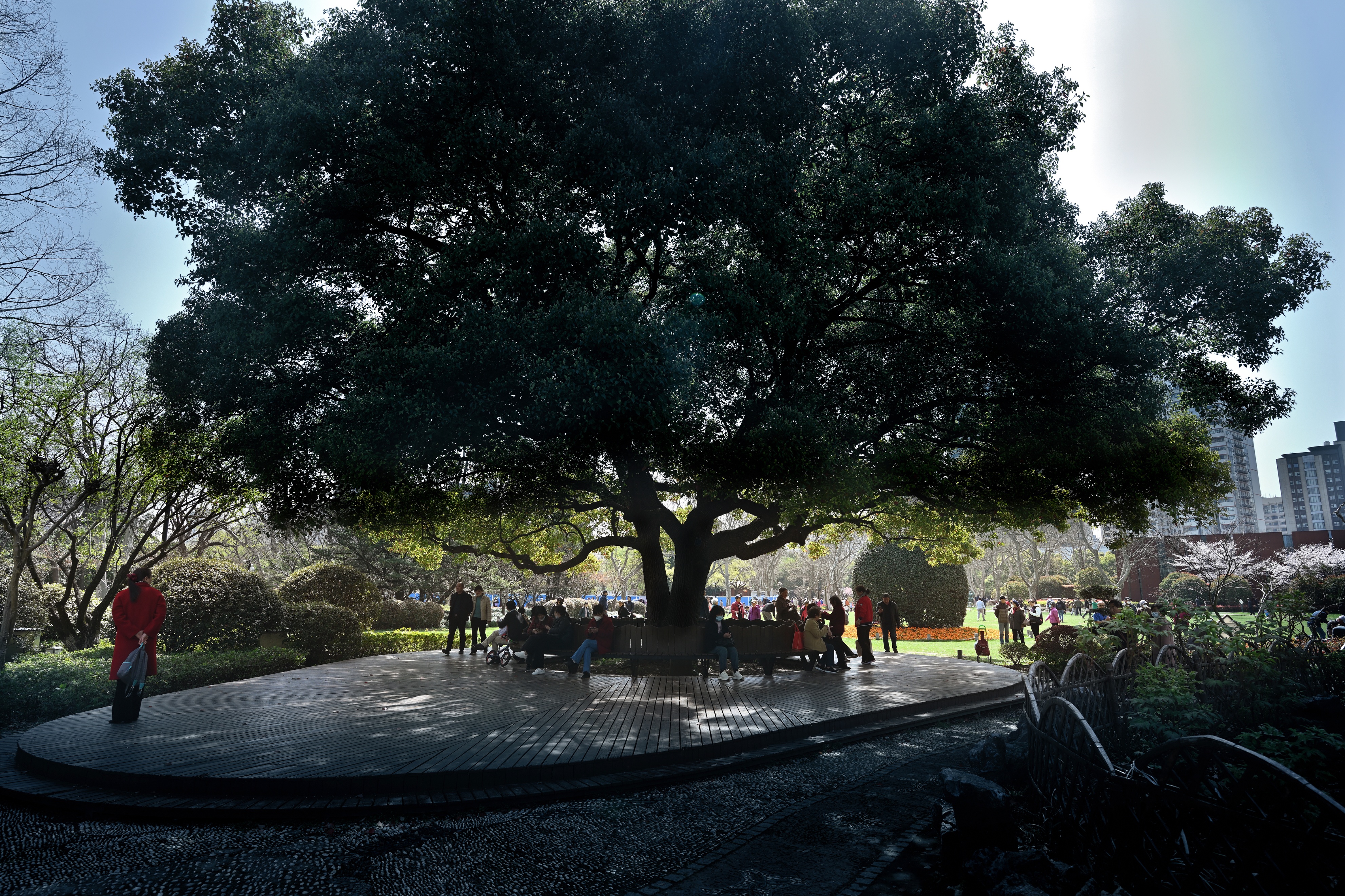 最近上海中山公园,最新上海中山公园介绍