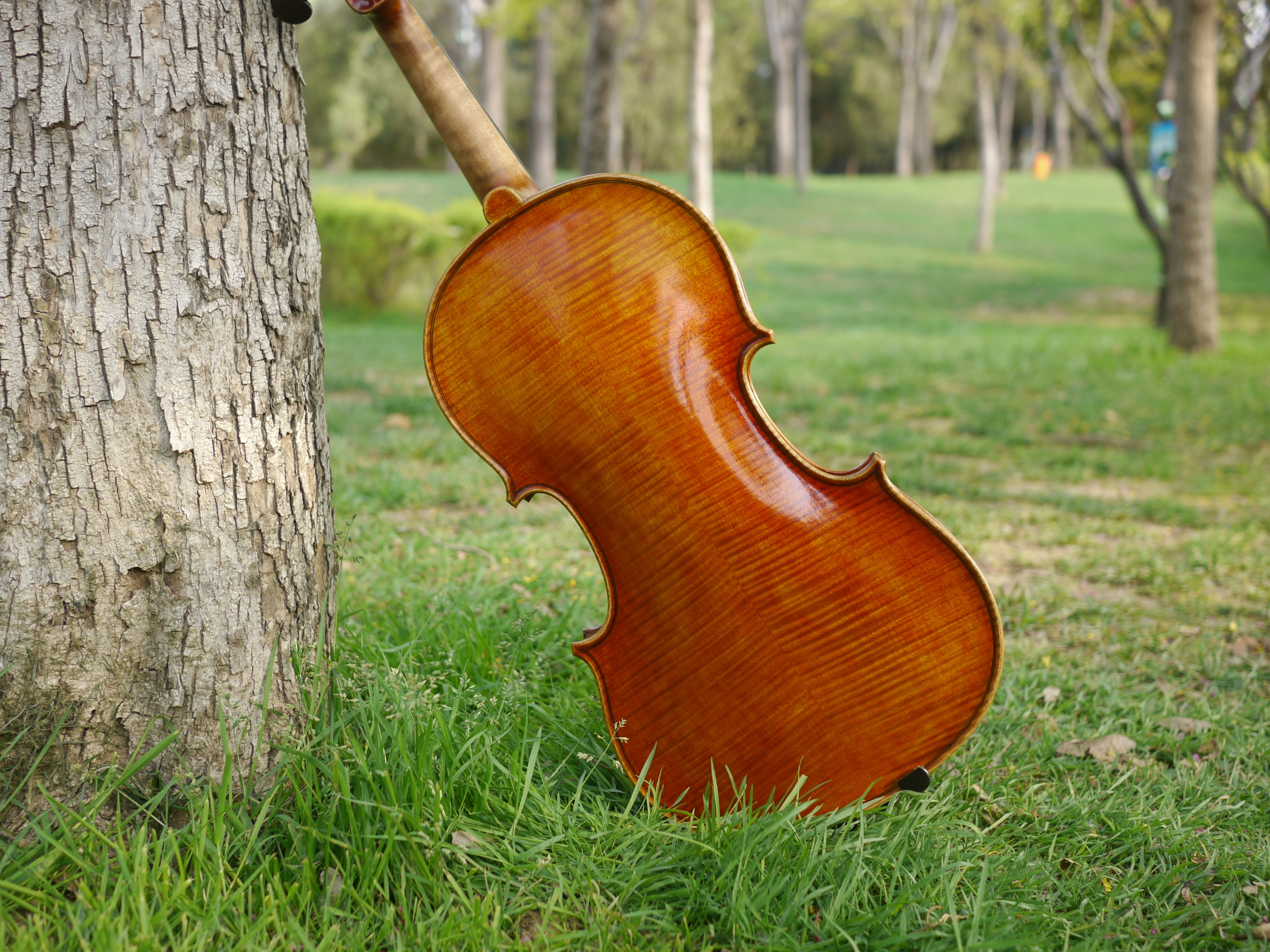 小提琴价格一般多少钱一把初学者,小提琴价格表一般多少钱