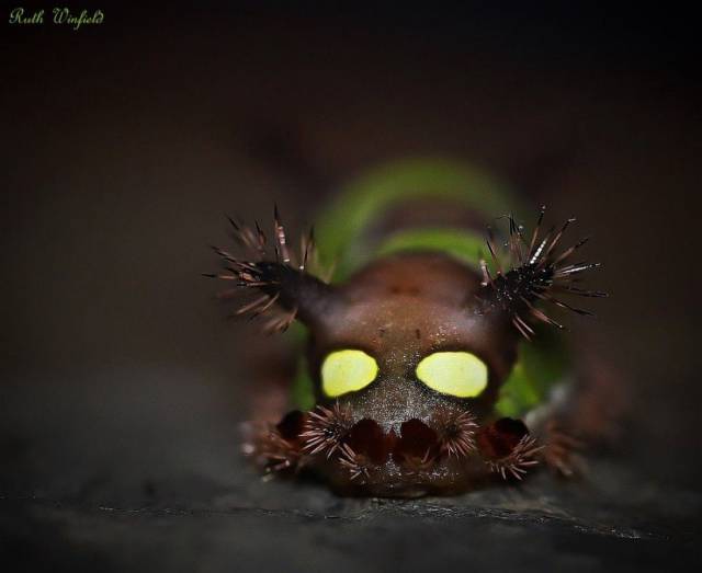 80个难得一见的图片,100个难得一见照片