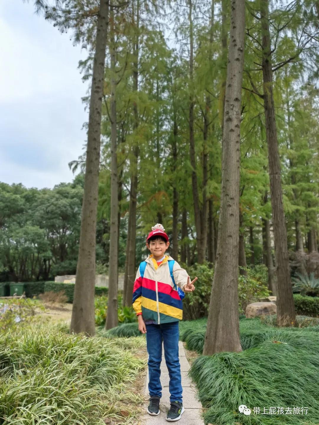 上海超火的日式私汤温泉酒店,上海日式温泉度假