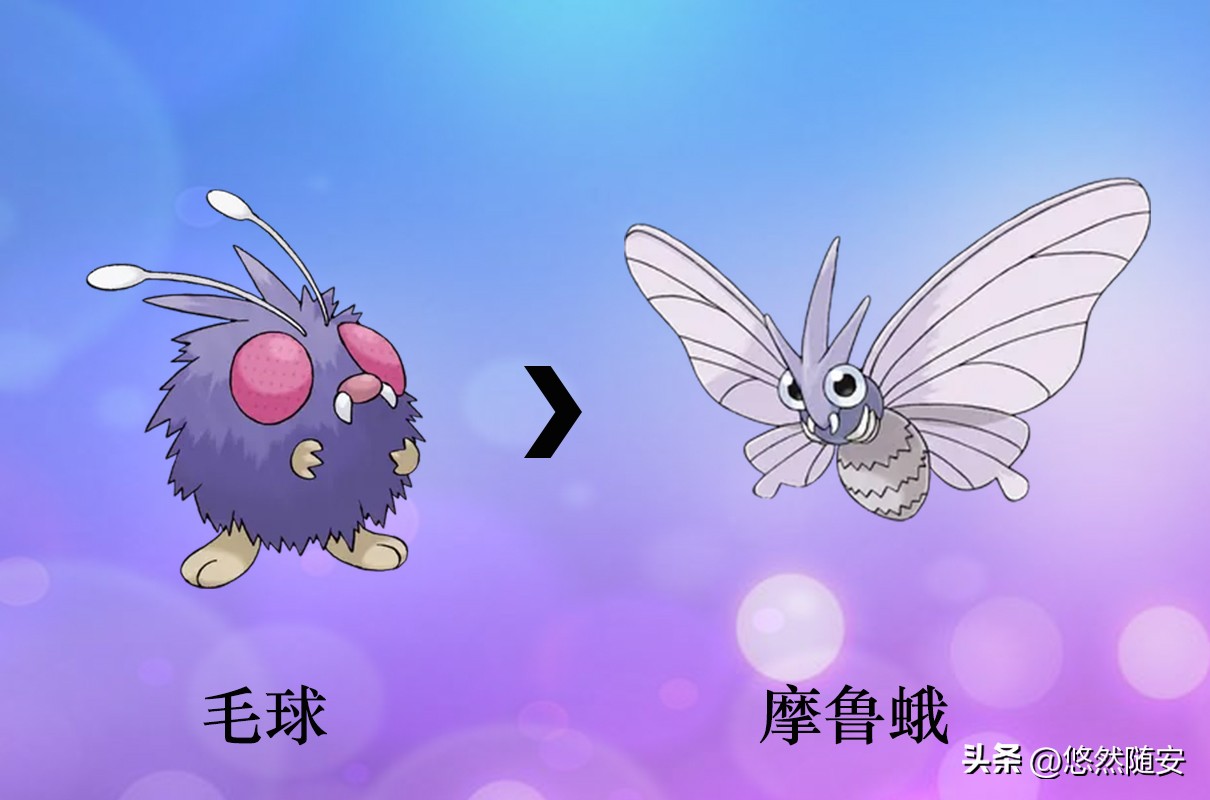 宝可梦所有御三家进化形态,宝可梦小火狐进化形态