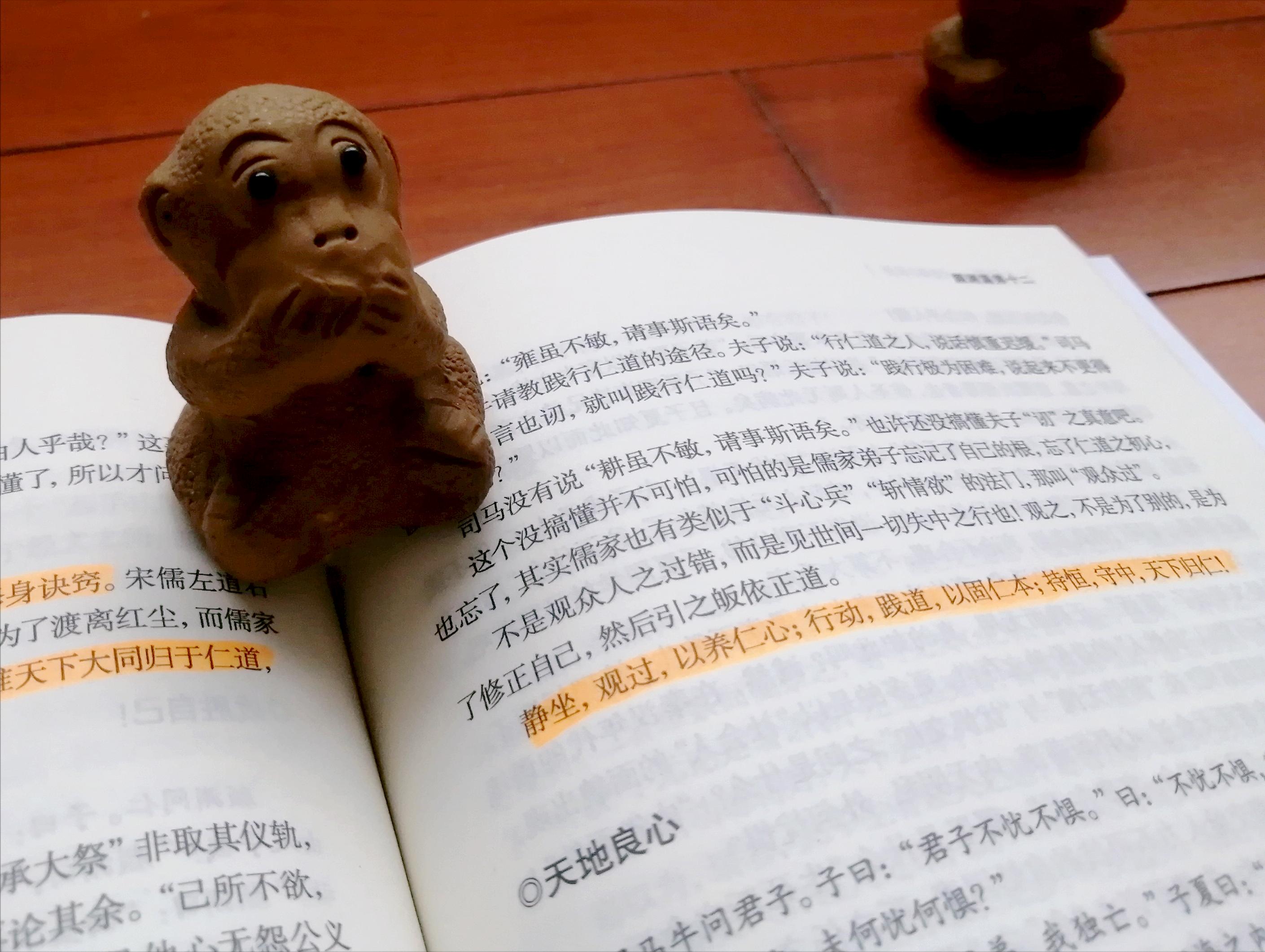 从论语看到孔子是怎么样的人,论语深度解析孔子