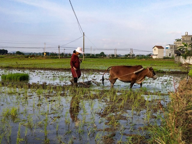 90后女孩放弃高薪回乡创业,90后姑娘创业月入八万