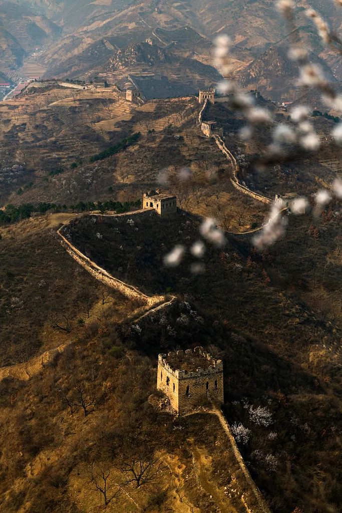 唐山大地震在哪一年,唐山大地震前兆故事