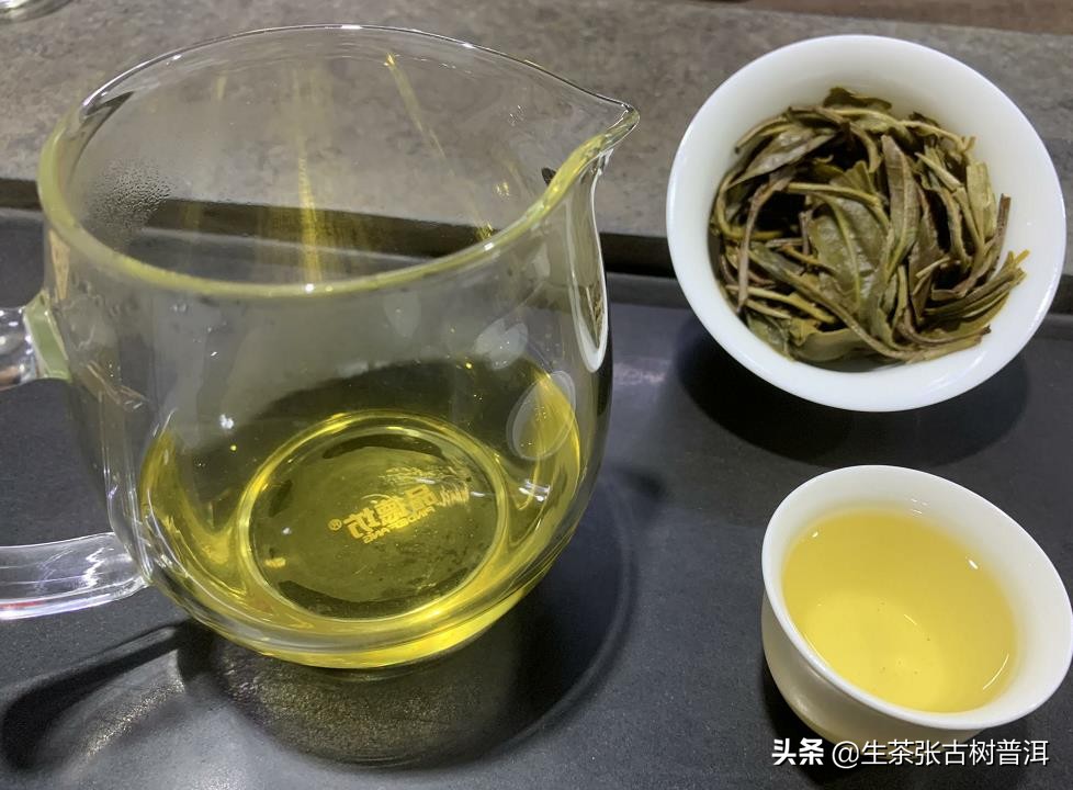 易武茶麻黑寨,易武麻黑古树茶特点