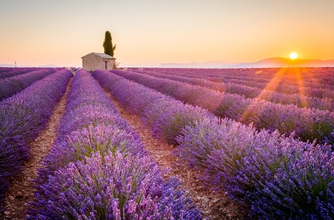春夏适合去的景点,春夏秋冬的代表景点