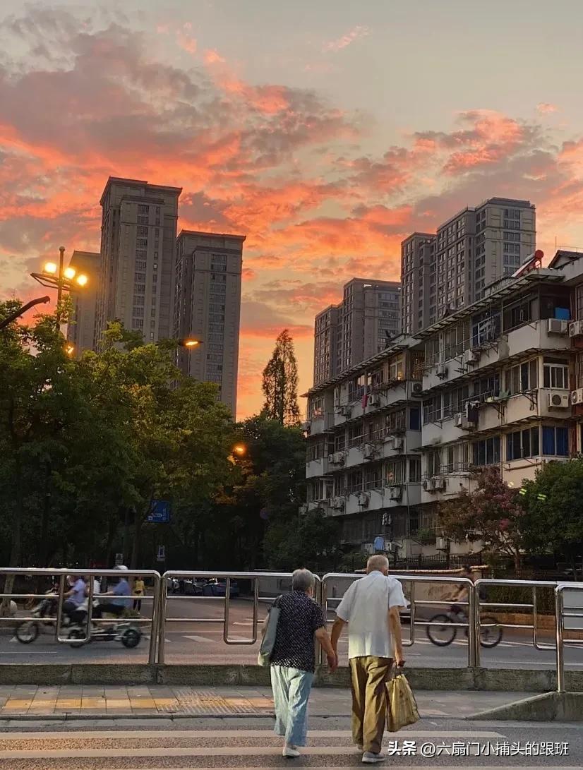 懂懂日记公众号,懂懂日记全集解说